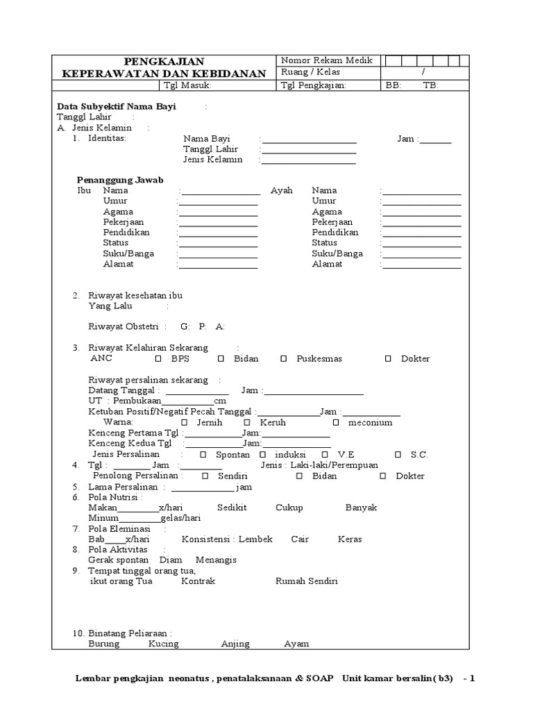 Form Pengkajian Neonatus | PDF