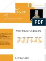 Anatomia y Biomecanica Del Pie