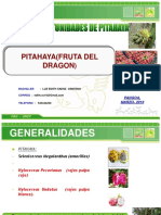 Cultivo de pitahaya en el Perú