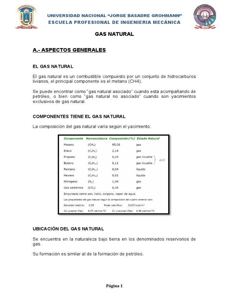 Gas Natural en El Peru | PDF