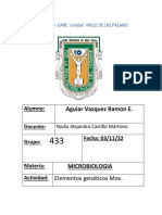 InvMecPat Aguiar Ramon 433-3