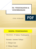 Indera Pendengaran & Keseimbangan