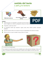 El sentido del tacto - La piel y la textura