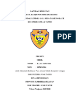 Laporan Magang Bayu Saputra 3 PDF
