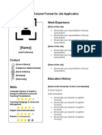 Resume Sample Format Editable (Ace Job Application 2022)