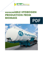 Renewable Hydrogen Production From Biomass