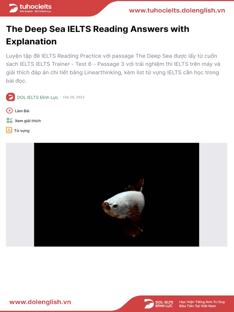 The Deep Sea | PDF | Atmosphere Of Earth | Underwater Diving