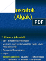 Moszatok, Mohák