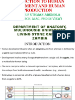 Embryology 