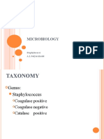 Staphylococcus