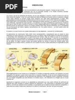 Mudras