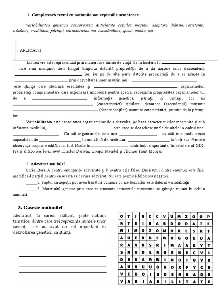 Fise de Lucru CLS 8 | PDF