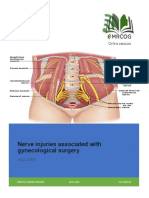 Nerve Injuries Associated With Gynecological Surgery