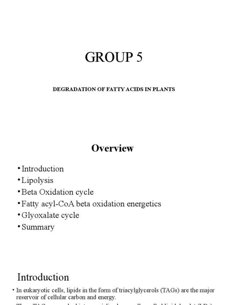 GROUP 5 (Updated) Degradation of Fatty Acids in Plants1 PDF