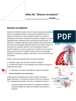 Lectura Científica N5 - Sistema Circulatorio