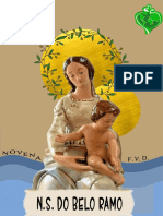 Nossa Senhora do Belo Ramo: A história e Novena