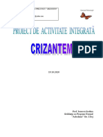 Proiect Crizanteme