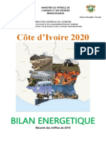 Livret Du Bilan Énergétique CIV2020 - Final