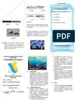 Dokumen - Tips - 133495262 Triptico Mar Frio Docxdocx