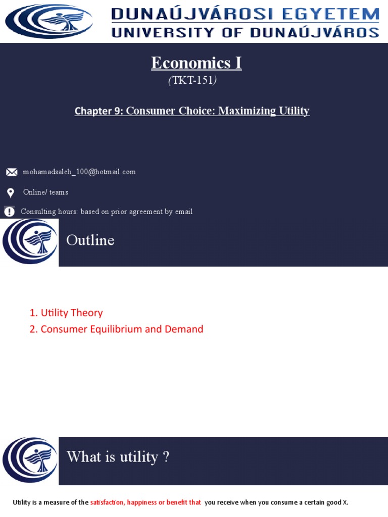 Consumer Choice and Utility Theory | PDF