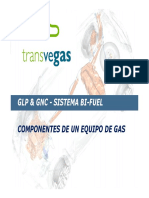 COMPONENTES QUE FORMAN PARTE DE UN EQUIPO DE GAS(GLP Y GNV)