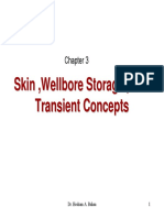 3-Transient, Skin and Wellbore Storage