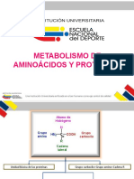 Metabolismo de Proteinas y Aminoacidos