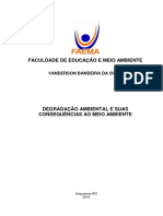 Silva, v. B. - Degradação Ambiental e Suas Consequências Ao Meio Ambiente