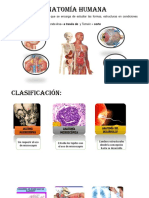 Anatomía Humana-Aparatos y Sistemas