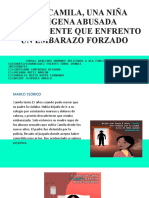 Caso Camila, Una Niña Indigena Abusada Sexualmente Que Enfrento Un Embarazo Forzado