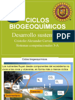 Ciclos Biogeoquímicos 2020