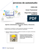 Curso Transversal Seguridad e Higiene Industrial