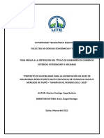 Proy de Factibilidad para La Exportación de Nuez de Macadamia PERÚ 2011