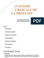 Anatomie de La Prostate Pret