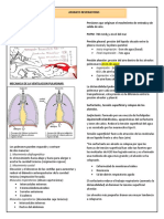 RESPIRACION