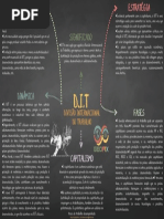 Divisão Internacional Do Trabalho