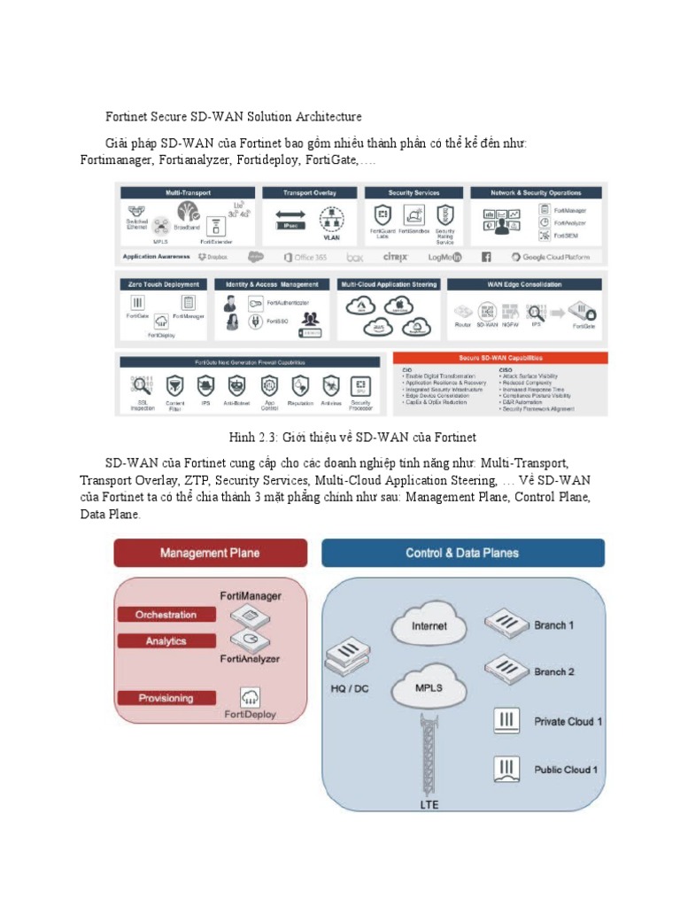 Fortinet Secure SD | PDF