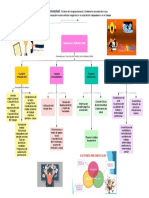 Actividad 5. Mapa conceptual