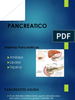 Enfermedades del Páncreas: Perfil Pancreático, Pancreatitis Aguda y Crónica