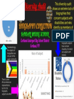 diversity audit infographic