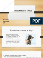 Problemas Cardiacos en Perros