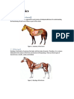 Horses Topics