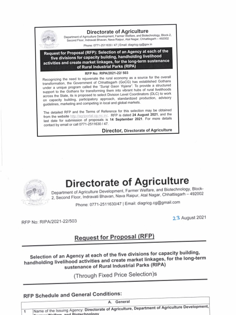 Ripa | PDF
