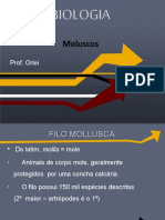 Moluscos 140726123550 Phpapp011