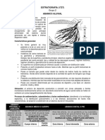 AbanicosAluviales Síntesis Estratigrafía