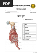 BIO34A Exercise 9