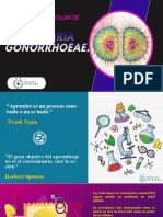 DIAGNOSTICO MOLECULAR DE NEISSERIA