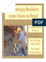Brasil Paleontologia