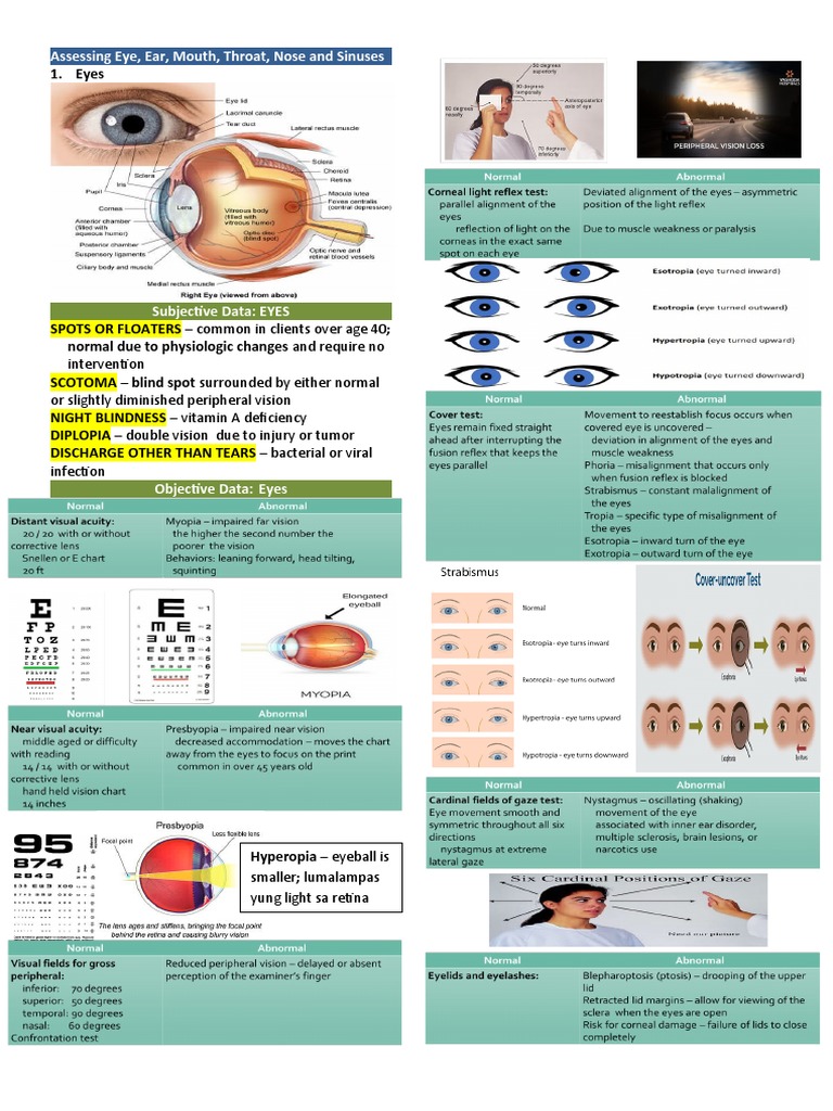 Health Assessment (Eye, Ear, Mouth, Throat, Nose and Sinuses) PDF