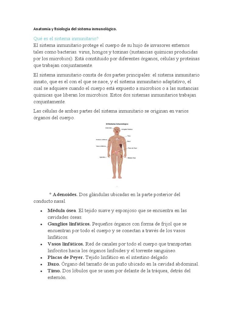 Anatomía Y Fisiología Pdf